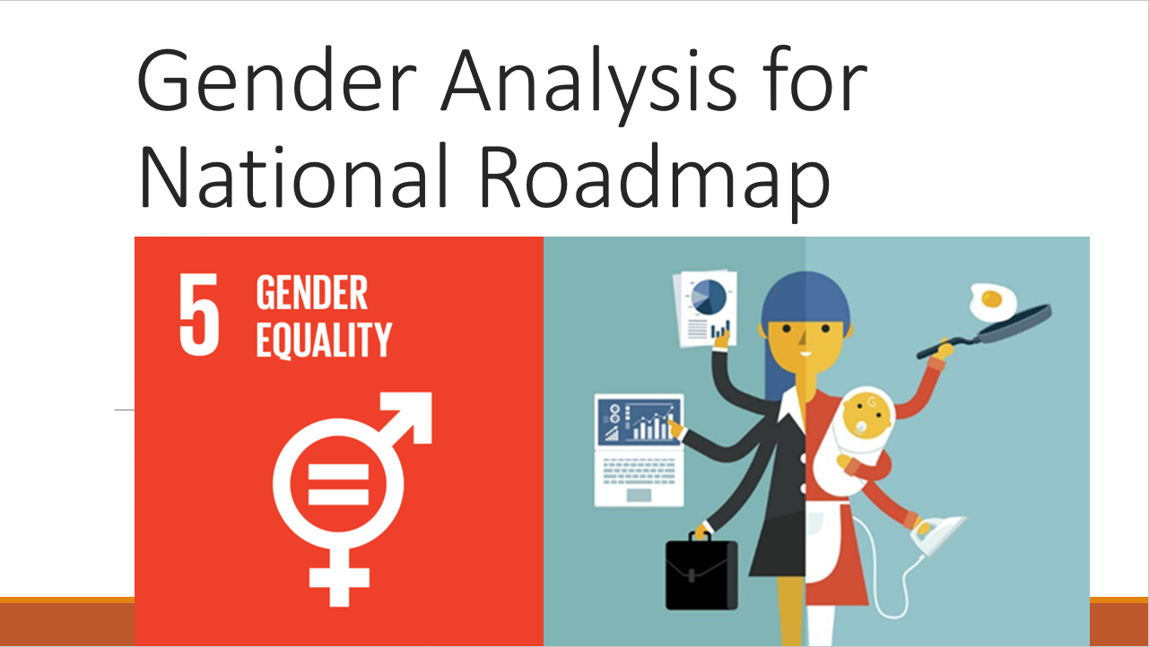 Launch of the gender analysis for national roadmap
