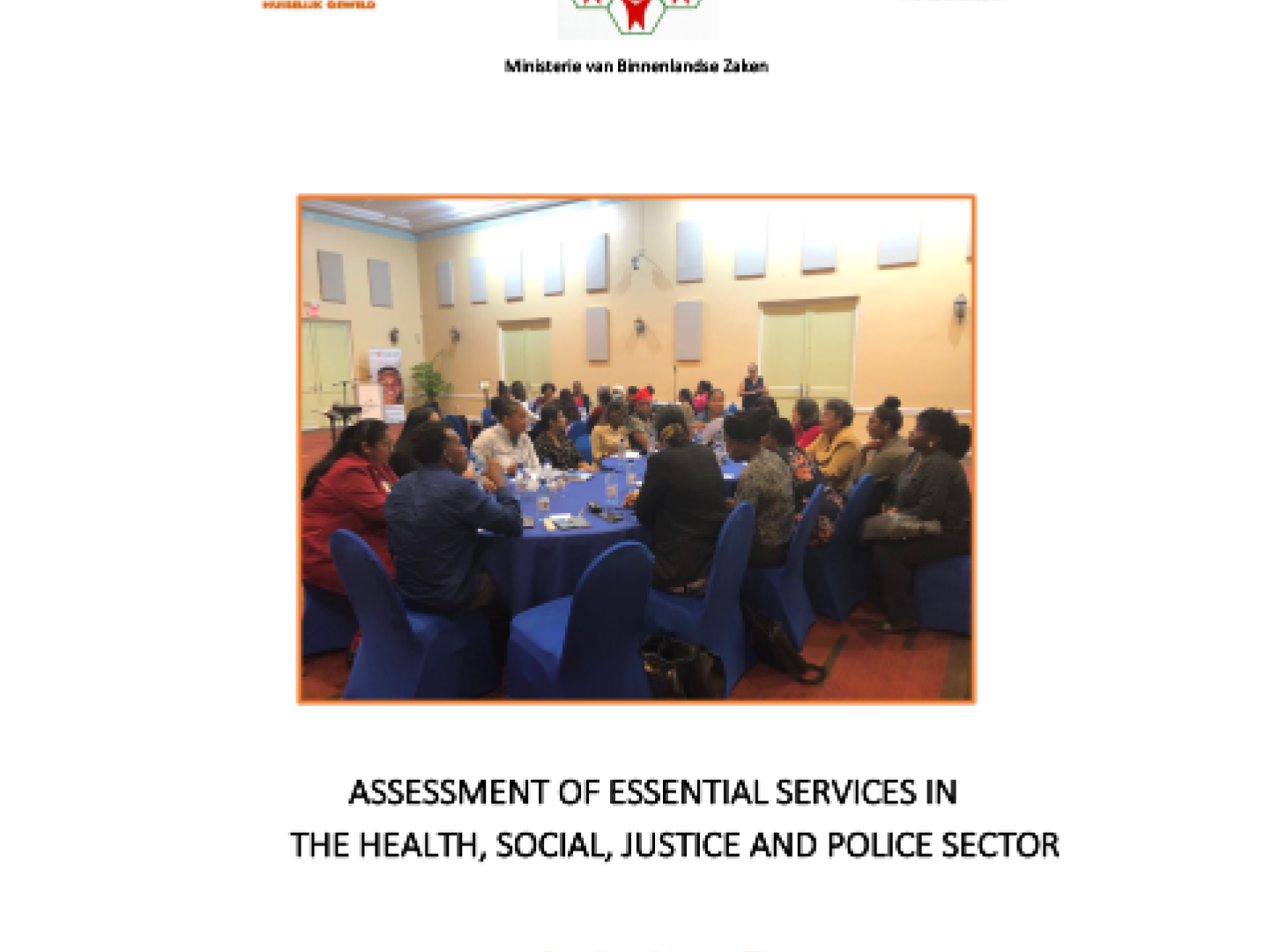 Cover •	Assessment of essential services for women and girls, subject to violence in the health, social, justice and police sector
