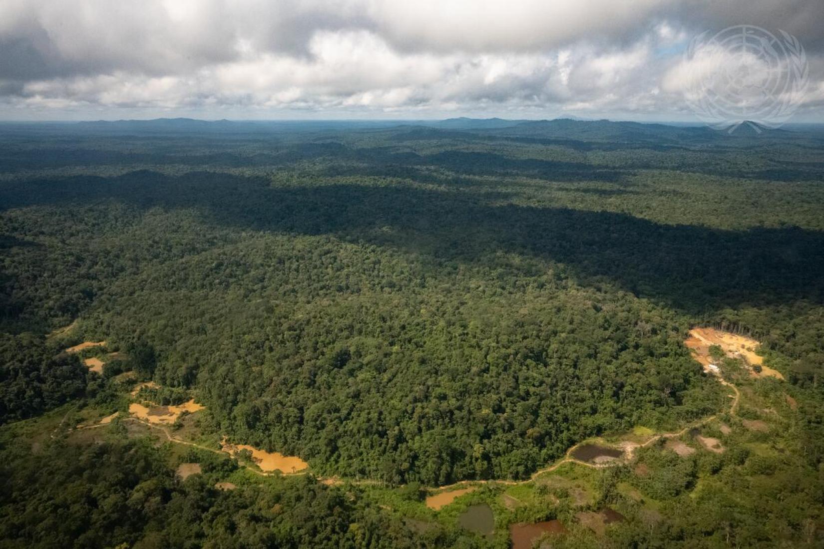 Areal photo of Suriname's rainforest