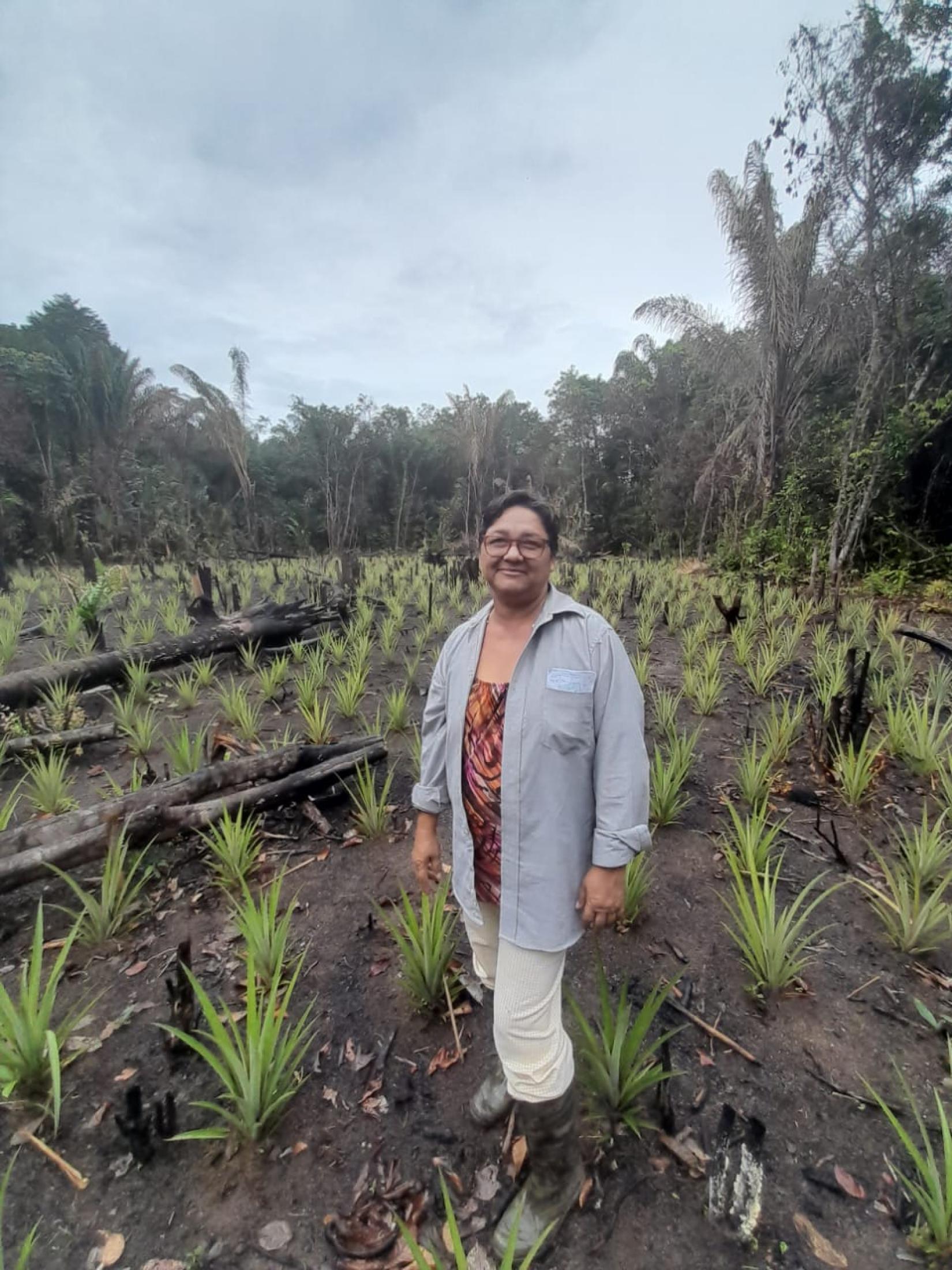 Gladys Kabelefodi among her pineapple plot in Philipusdorp
