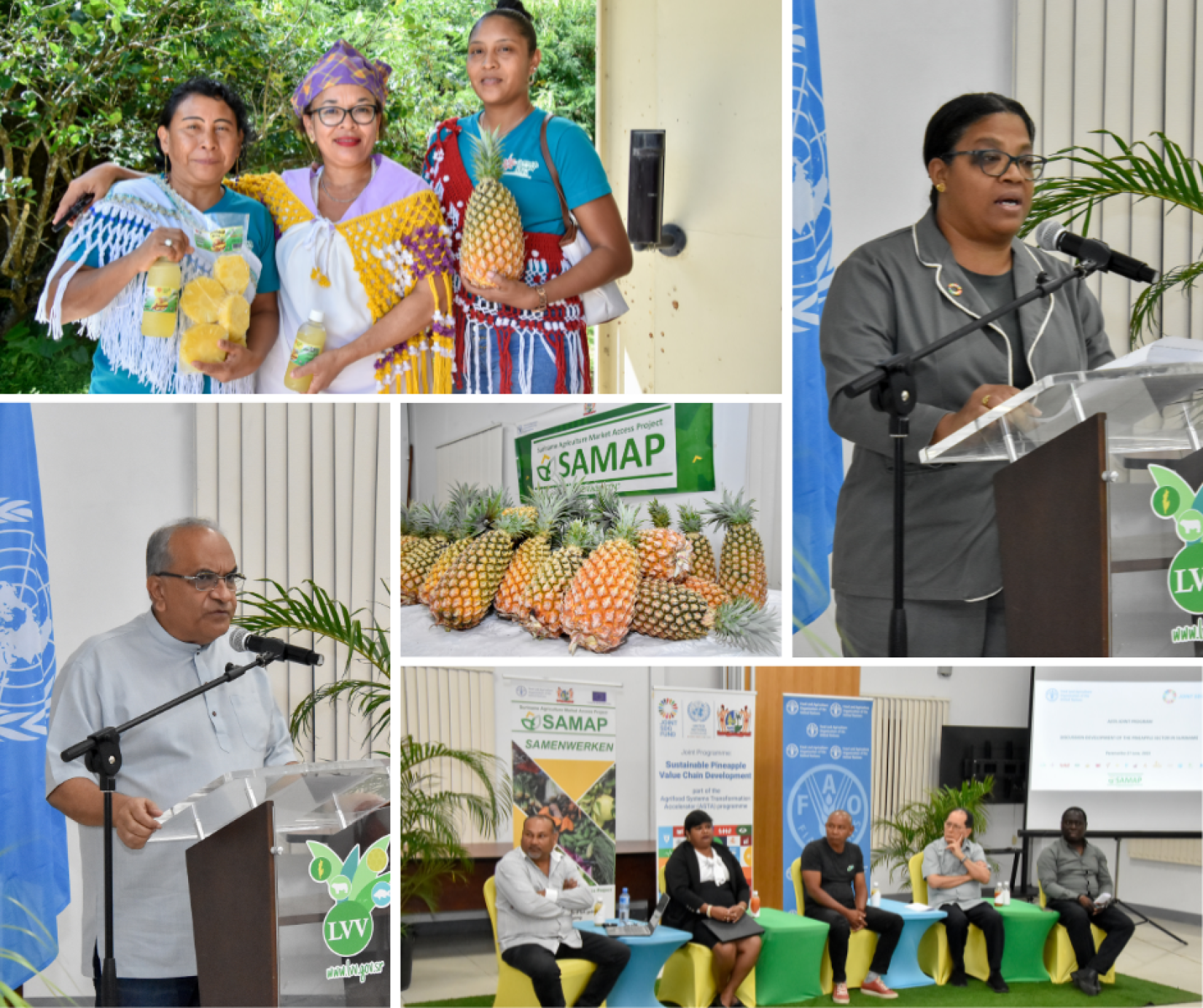 Collage of pictures from the Multi-Stakeholder Initiative to advance Suriname's pineapple sector