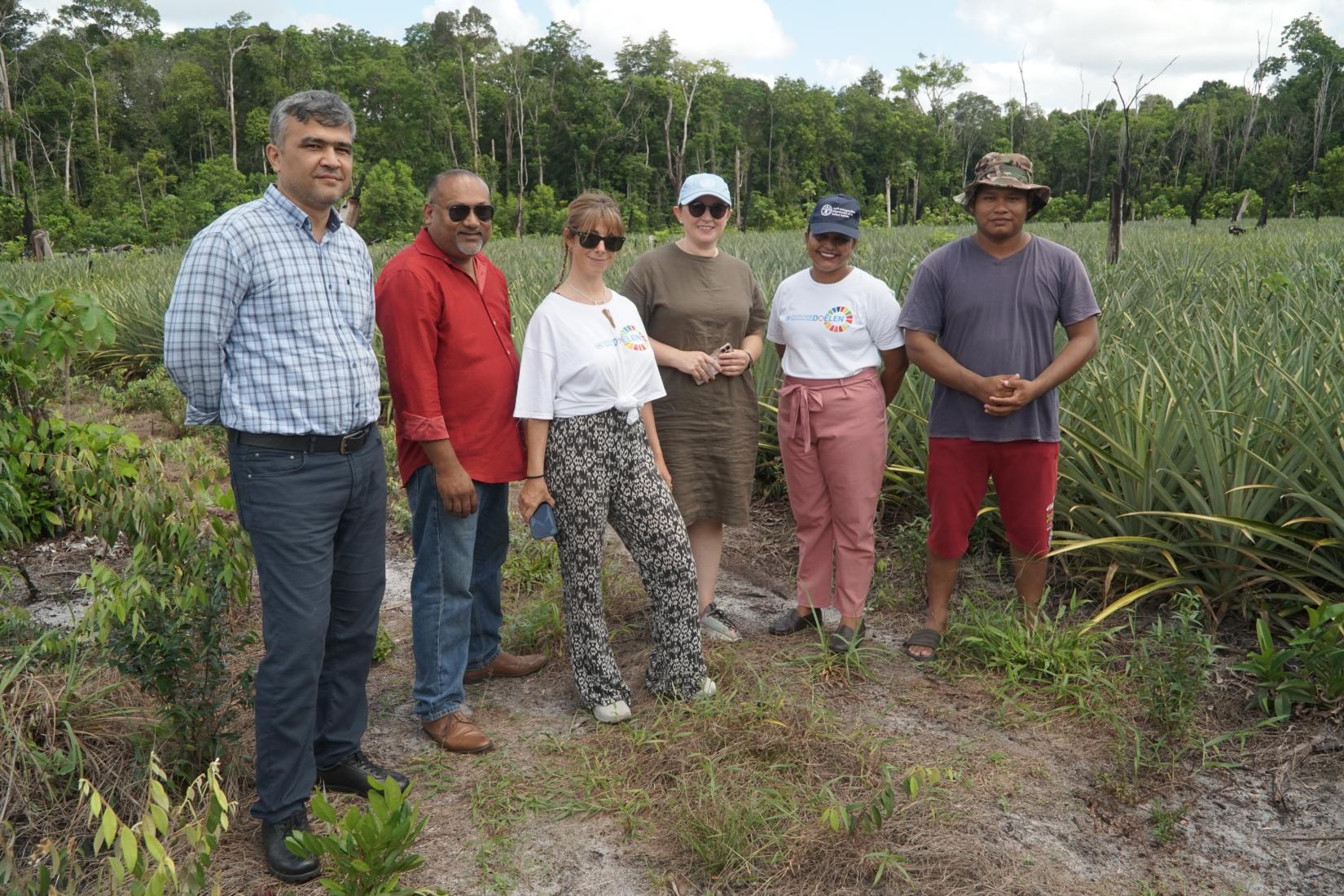 UN team at the pineapple field trial site in Redi Doti