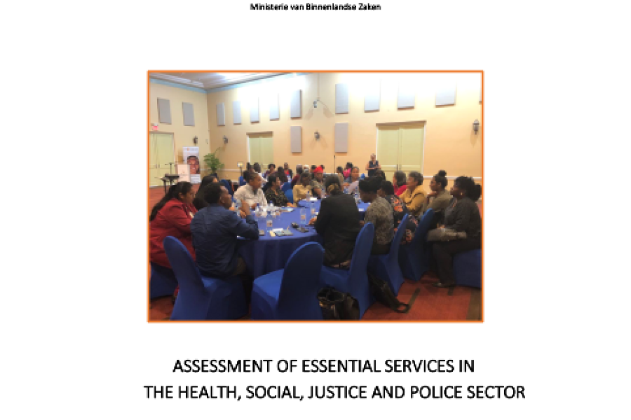 Assessment of Essential Services in the Health, Social, Justice, and