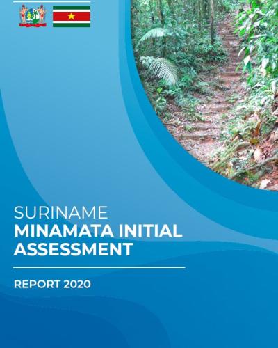 Suriname Minimata Initial Assesment cover photo
