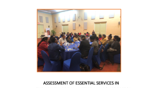 Cover •	Assessment of essential services for women and girls, subject to violence in the health, social, justice and police sector