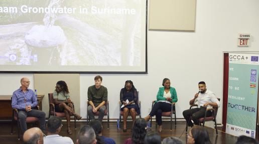 Panel at the 4th Climate and Water Conference in Suriname